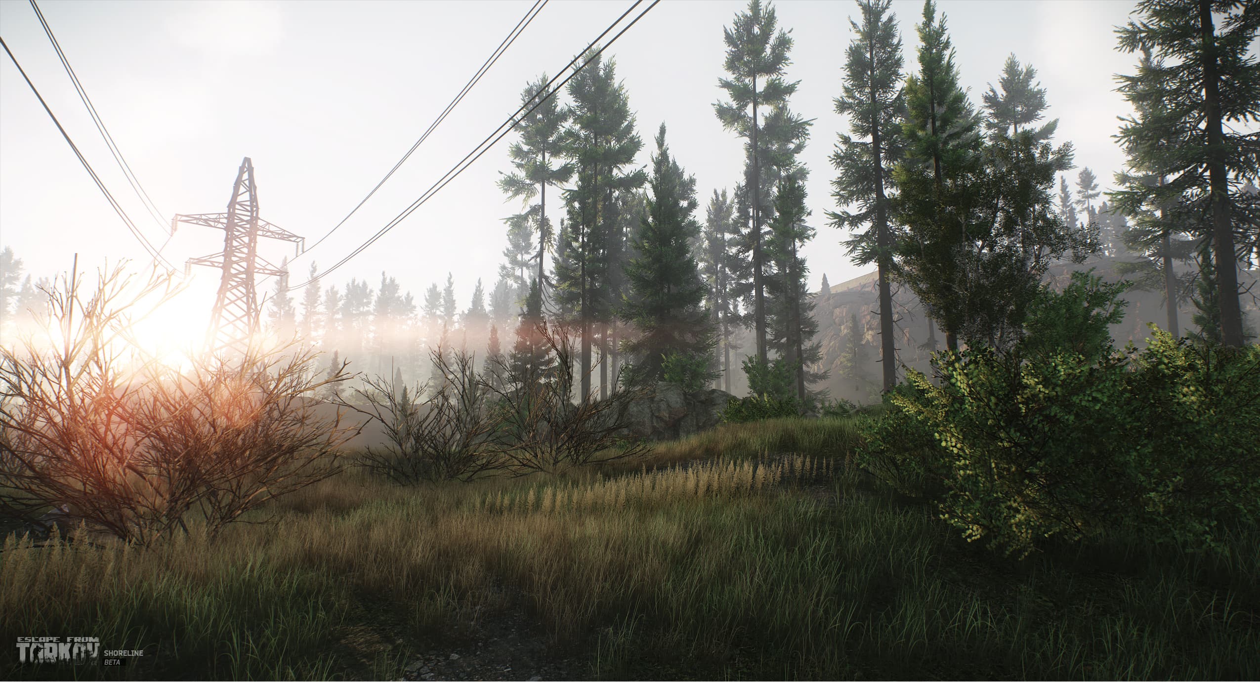 EFT Sherpa